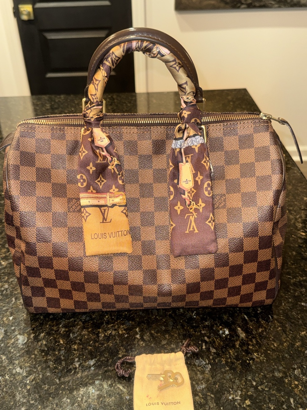 Louis Vuitton Speedy 30 Damier Ebene